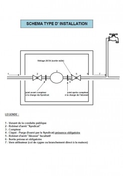 schema type